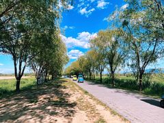 -野鸭湖国家湿地公园