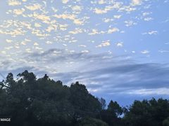 -鹤之乡·齐齐哈尔烤肉·非遗(秋涛路店)