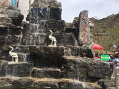 -大岭沟猕猴桃谷风景区