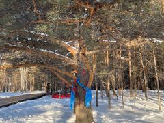 -北极村旅游风景区