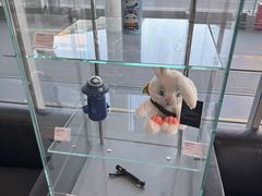-北京鹏龙瑞星奔驰4s店(来广营店)