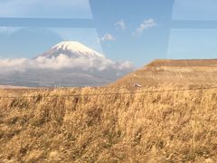 -富士山吉田線五合目