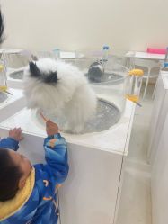 -Moni星球萌宠·小马宝莉·灵蛇·高端高阶全萌宠互动体验俱乐部(红豆国际广场店)