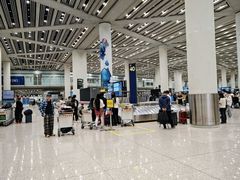 -日上免税店(三径路t3店)