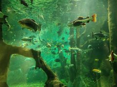 -福州罗源湾海洋世界旅游区