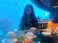 -海棠湾洲际-涛·海底餐厅·美人鱼·自助餐·海底隧道