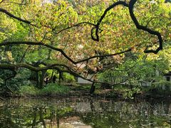 -上海植物园-4号门售票处