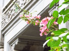 -老门东历史文化街区