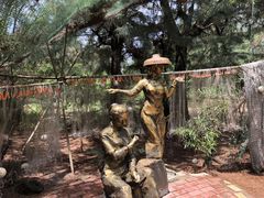 -北海金海湾红树林生态旅游区