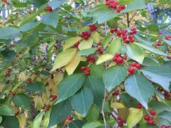 -兔途体检(十里堡青年路店)