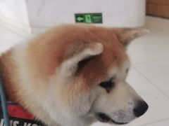 -北京恒爱动物医院(清景园分院)