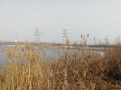 -大港湿地公园