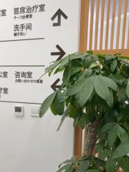 -和颜一美轻医美连锁