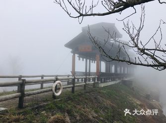 仿若人间仙境一般的景色