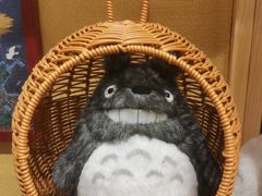 -猫的天空之城概念书店(大学路店)