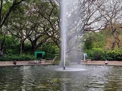 -九龙公园