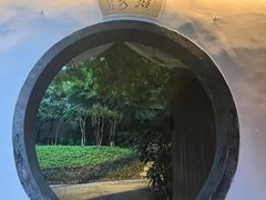 -杭州黄龙洞