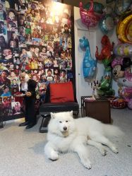 -乐贝派对RUBY'SPARTY