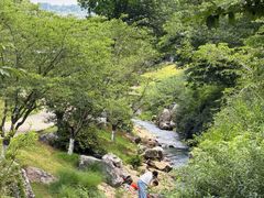 -羊山湖公园