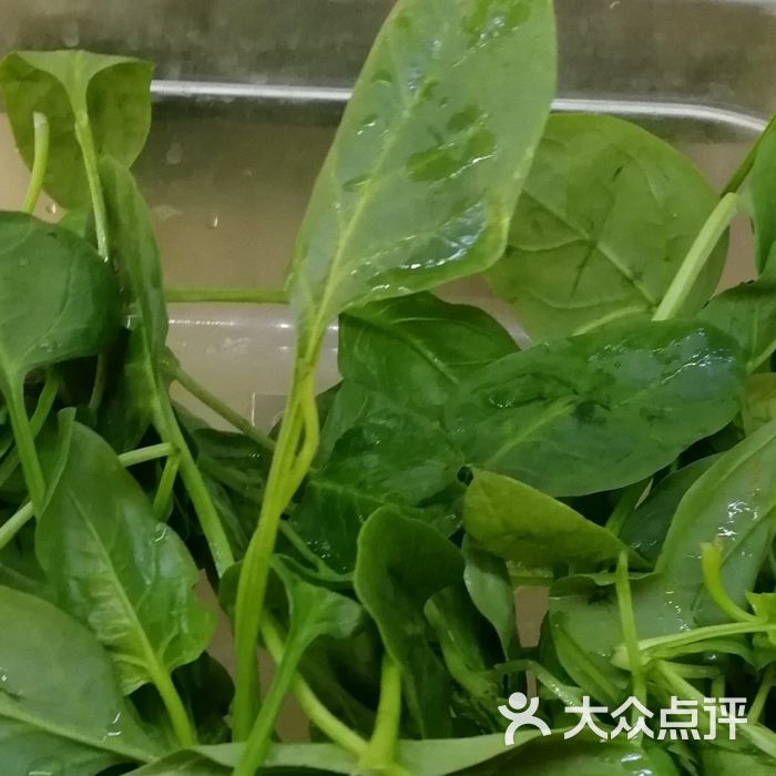 张亮麻辣烫菠菜图片-北京快餐简餐-大众点评网