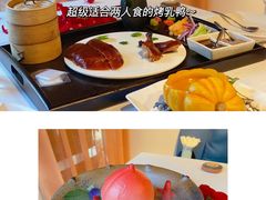 -梧桐