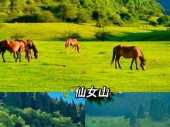 -龙湖重庆时代天街