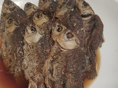 -津沽小院(天津之眼店)