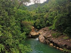 -广州白江湖森林公园