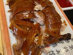 -新侨小馆(东直门北小街店)