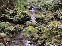 -海南热带雨林国家公园吊罗山景区
