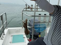 -鑫艋游艇海钓俱乐部