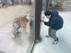 -南京汤山紫清湖生态旅游温泉度假区