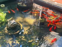 -野蔓果·山野菜(西湖景区·龙井茶田店)