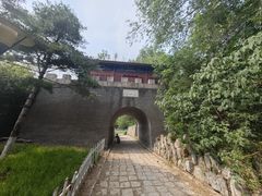 -云岗森林公园