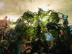 -茉莉餐厅(包河万达店)