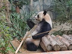 -泉州海丝野生动物世界