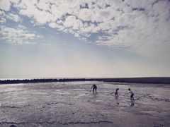 -南汇嘴观海公园