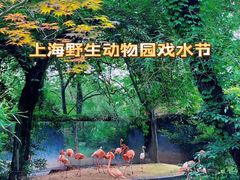 -上海野生动物园