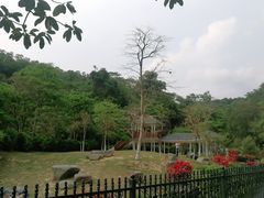 -火炉山森林公园