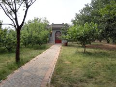 -御林古桑园