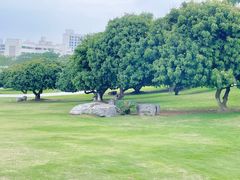 -红花山公园