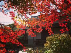 -常寂光寺