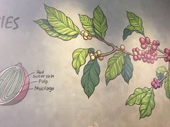 -瑞幸咖啡(西铁营万达广场店)
