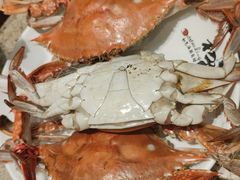 -初色海鲜自助(万丰路店)