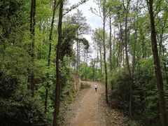 -青龙山国家森林公园