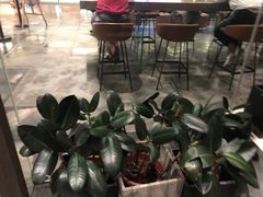 -gaga(深圳南山益田假日广场店)