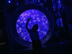 -成都浩海立方海洋公园