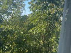-和子足浴SPA会馆(梁溪店)