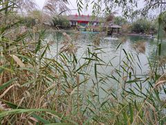 -处女泉风景名胜区