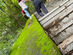 -大岭沟猕猴桃谷风景区